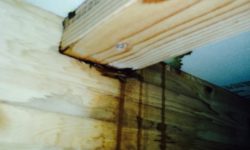 雨漏り　屋根裏